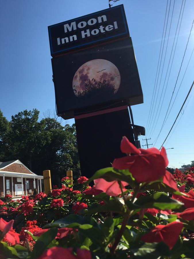 Moon Inn Hotel Alexandria Dış mekan fotoğraf